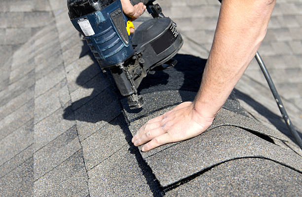 Best Roof Leak Repair  in Palm Shores, FL