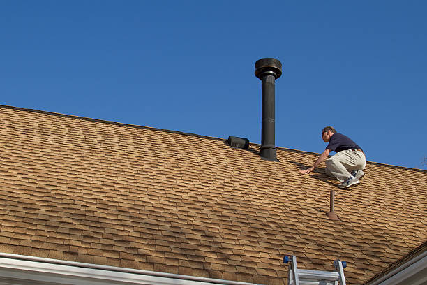 Siding in Palm Shores, FL