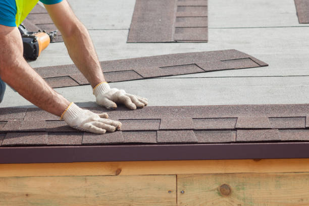 Best Gutter Installation and Repair  in Palm Shores, FL