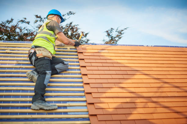 Best Emergency Roof Repair Services  in Palm Shores, FL